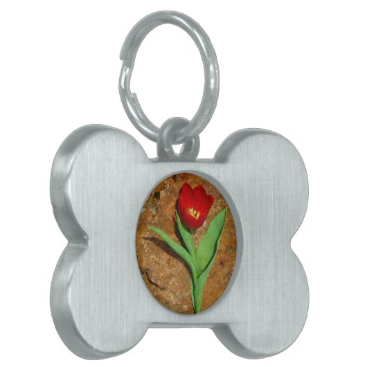 黄色と赤のチューリップ ペットネームタグ (正面左)