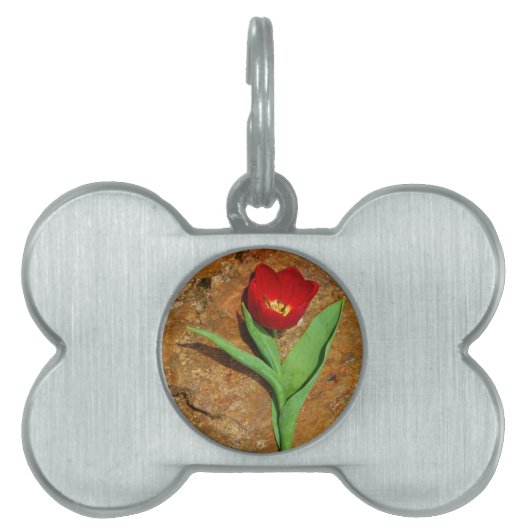 黄色と赤のチューリップ ペットネームタグ (正面)