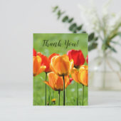 黄色と赤のチューリップ ポストカード (スタンド正面)