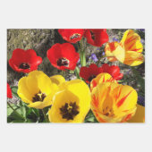 黄色と赤のチューリップ ラッピングペーパーシート (正面3)