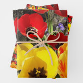 黄色と赤のチューリップ ラッピングペーパーシート (インサイチュ)