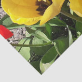 黄色と赤のチューリップ 薄葉紙 (詳細)