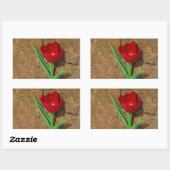 黄色と赤のチューリップ 長方形シール (シート)