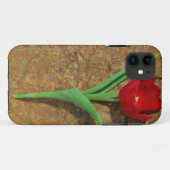 黄色と赤のチューリップ Case-Mate iPhoneケース (裏面(横))