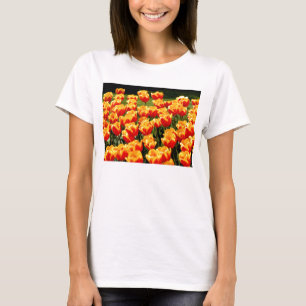 黄色と赤のチューリップ Tシャツ