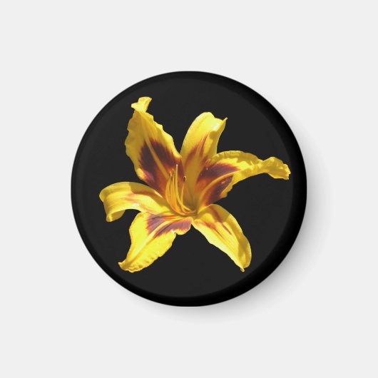 黄色と赤のリリー磁石 マグネット (正面)