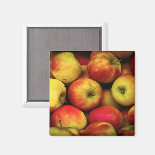 黄色と赤のリンゴのブッシェルの写真 マグネット (正面/裏面)