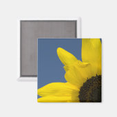 黄色と青のひまわりコーナー マグネット (正面/裏面)