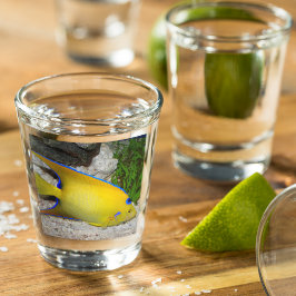 黄色と青のクイーンアンジェフィッシュ写真 ショットグラス