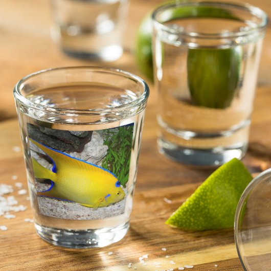 黄色と青のクイーンアンジェフィッシュ写真 ショットグラス
