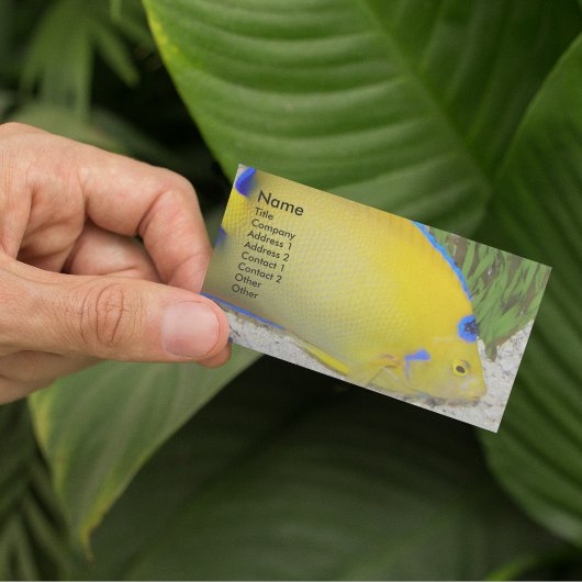 黄色と青のクイーンアンジェフィッシュ写真 名刺