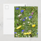 黄色と青のワイルドフラワーDIYはがき ポストカード (正面/裏面)