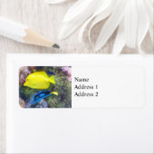 黄色と青の唐魚 ラベル (インサイチュ)