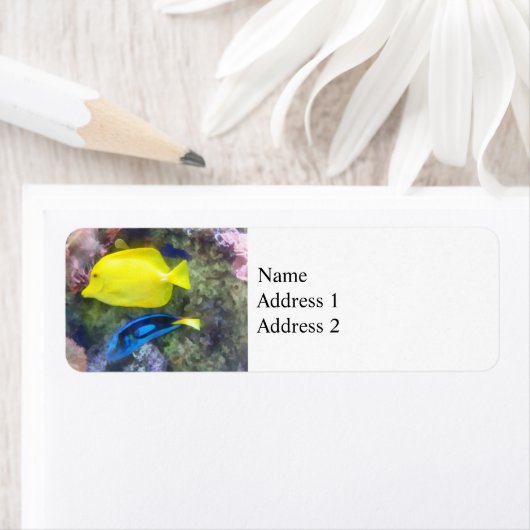 黄色と青の唐魚 ラベル (インサイチュ)