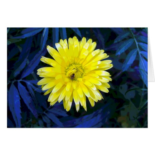 黄色と青 (正面横)