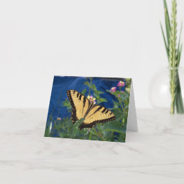 黄色と黒のアゲハチョウの蝶 カード