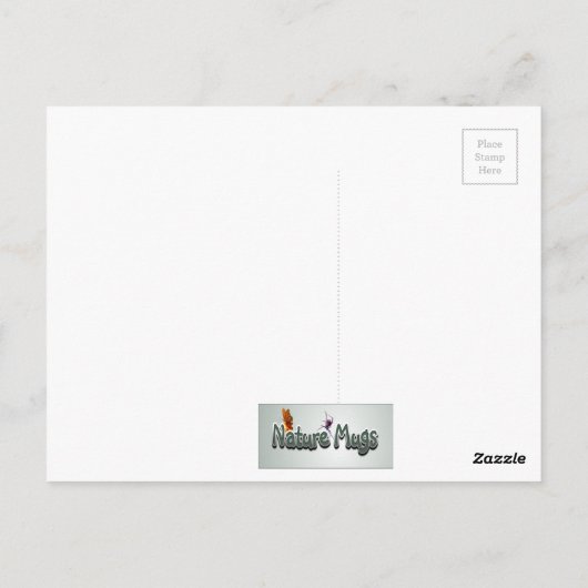 黄色と黒のアゲハチョウはがき ポストカード (裏面)