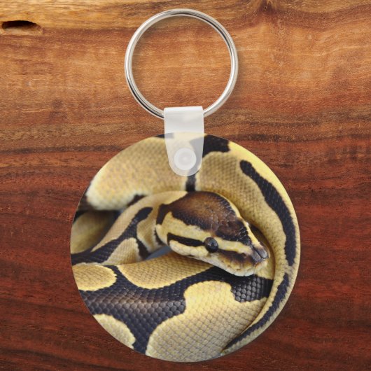 黄色と黒のボールPython 3 キーホルダー (正面)