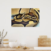 黄色と黒のボールPython 3 ポスター (キッチン)