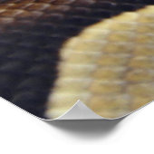 黄色と黒のボールPython 3 ポスター (角)