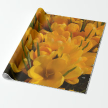 黄色なクロカス フラウス - ゴールデンイエローの花