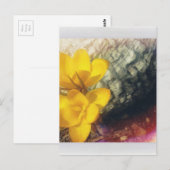 黄色なクロッカスの花 ポストカード (正面/裏面)