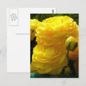 黄色にしよう ポストカード (正面/裏面)