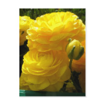 黄色にしよう