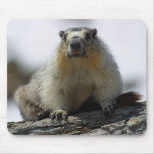黄色によって膨らまされるMarmot マウスパッド