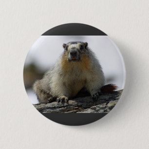 黄色によって膨らまされるMarmot 缶バッジ