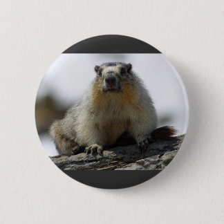 黄色によって膨らまされるMarmot 缶バッジ