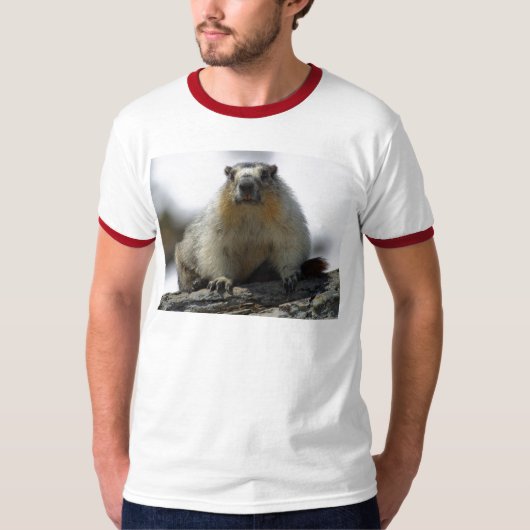 黄色によって膨らまされるMarmot Tシャツ (正面)