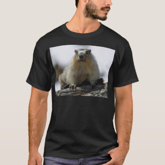 黄色によって膨らまされるMarmot Tシャツ