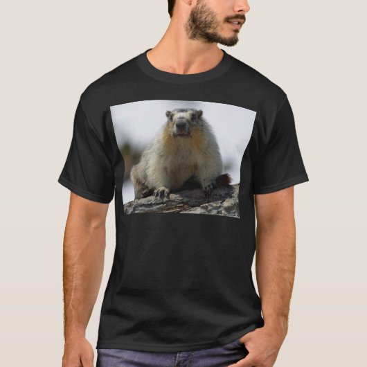 黄色によって膨らまされるMarmot Tシャツ (正面)