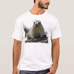 黄色によって膨らまされるMarmot Tシャツ