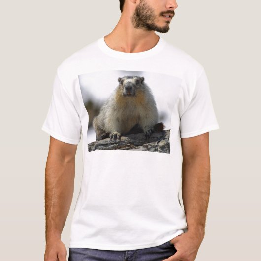 黄色によって膨らまされるMarmot Tシャツ (正面)