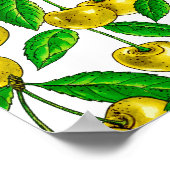 黄色のさくらんぼ ポスター (角)