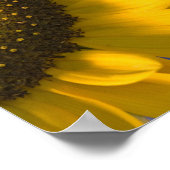 黄色のひまわり結婚が青 ポスター (角)