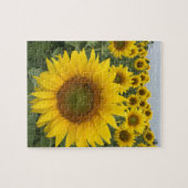 黄色のひまわり自然写真 ジグソーパズル (横)