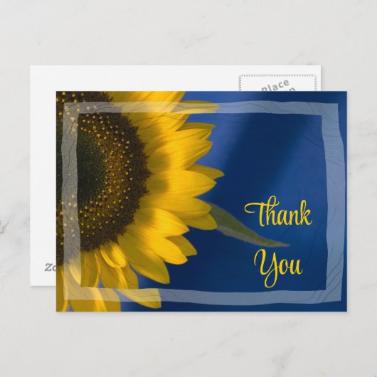 黄色のひまわり青ありがとう ポストカード (正面/裏面)
