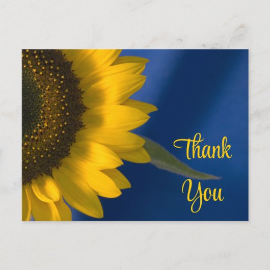 黄色のひまわり青ありがとう ポストカード (正面)