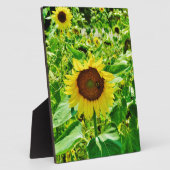 黄色のひまわり フォトプラーク (側面)