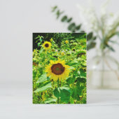 黄色のひまわり ポストカード (スタンド正面)