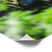 黄色のアゲハチョウ～写真 フォトプリント            (角)