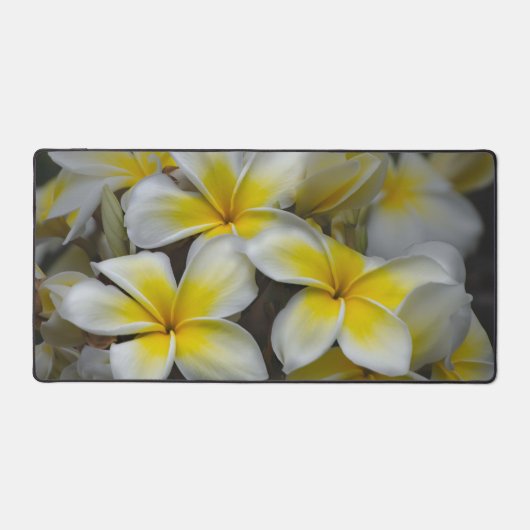 黄色のアメリカの花、プルメリア写真 デスクマット (正面)
