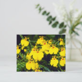 黄色のオウセンシダの花 ポストカード (スタンド正面)