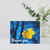 黄色のカエデの葉（青） ポストカード (スタンド正面)