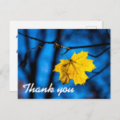 黄色のカエデの葉（青） ポストカード (正面/裏面)