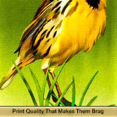 黄色のカナリーの名前Howy バスタオルセット