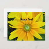 黄色のガザニア 感謝のポストカード ポストカード (正面/裏面)